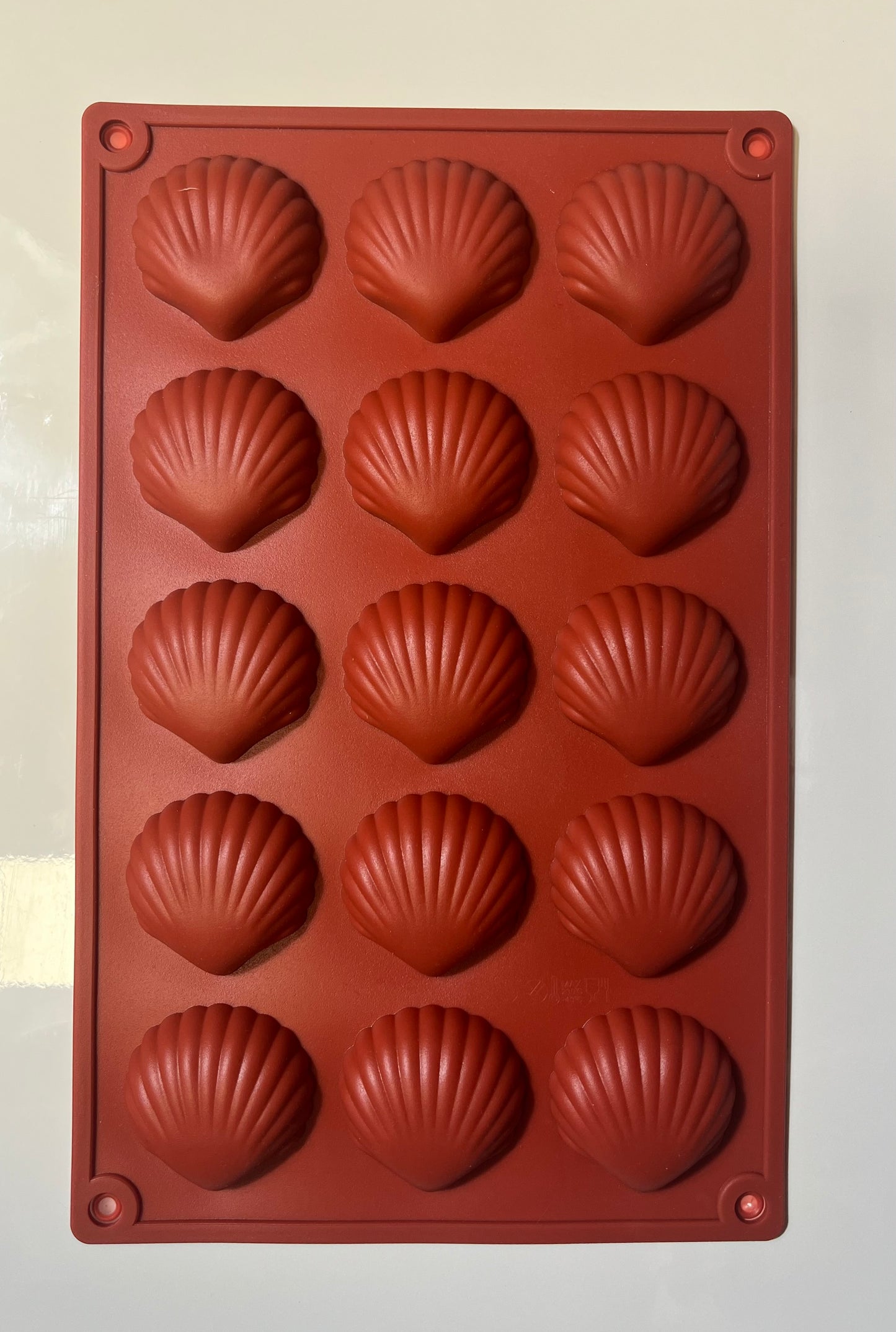 Moule silicone coquillage