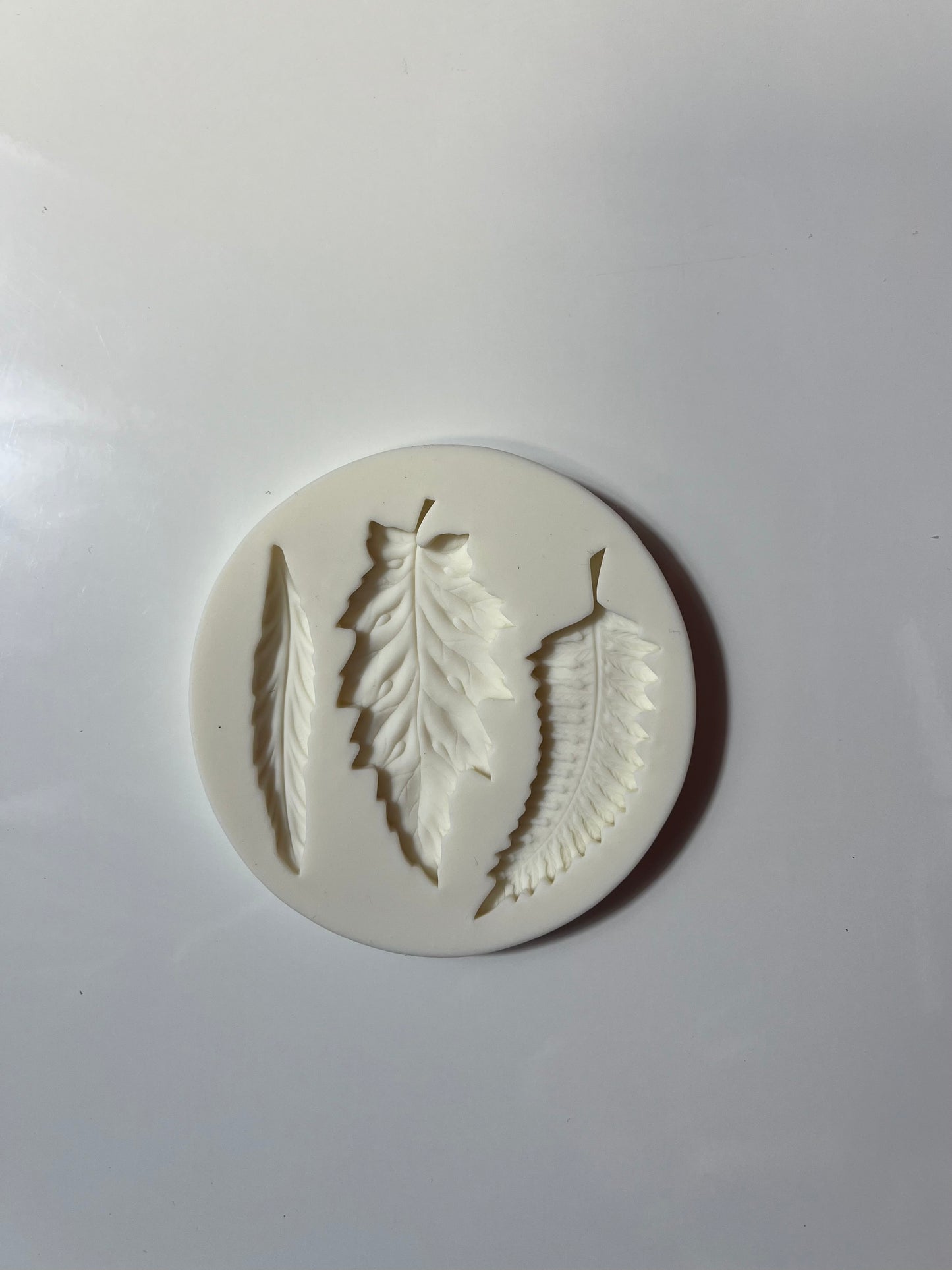 Moule silicone modelage feuilles