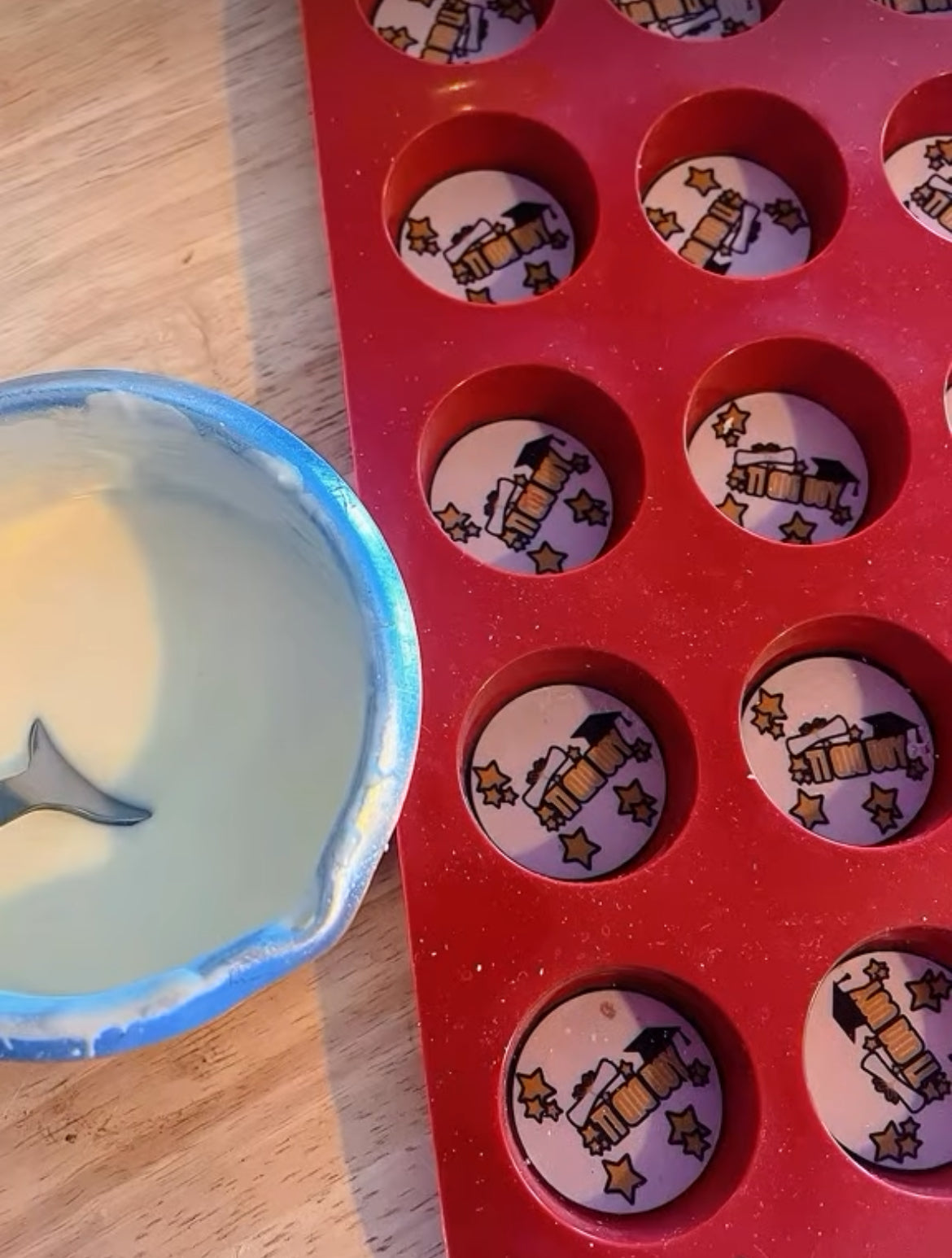 Moule silicone 15 ronds